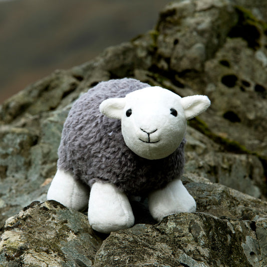 Little Herdy Soft Toy