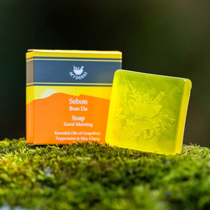 Soap 'Bore Da' Good Morning