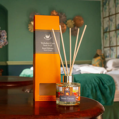 Reed Diffuser Sinsir Twym 'Warm Ginger'