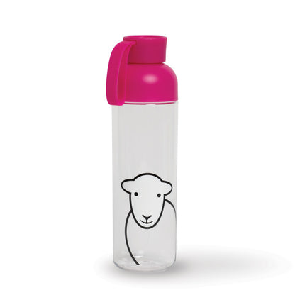 Hello Water Bottle Pink