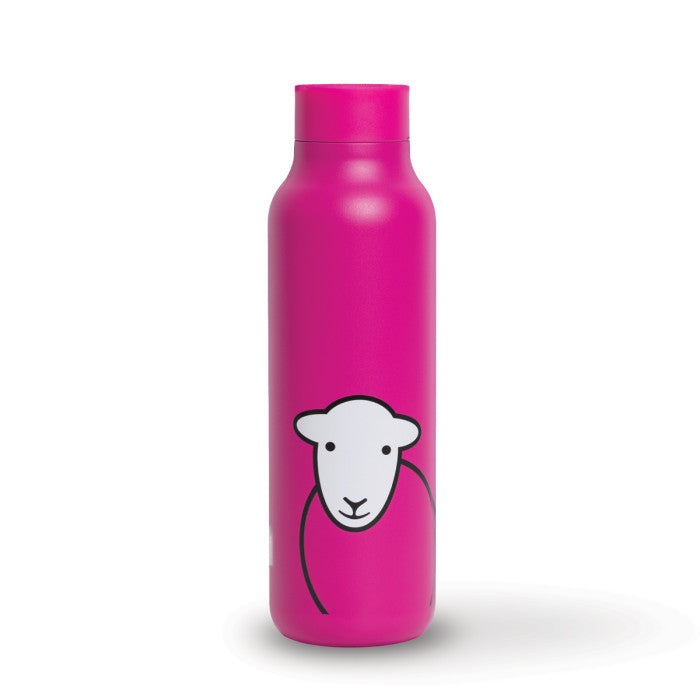 Hello Travel Flask Pink