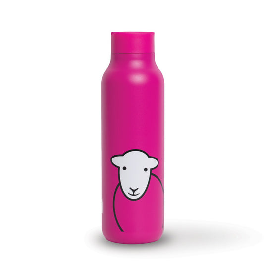 Hello Travel Flask Pink