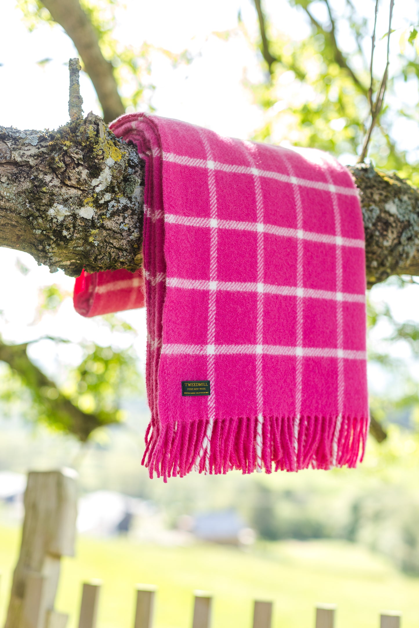 Pink Chequered Check Welsh Blanket by Tweedmill