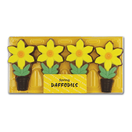 Chocolate Daffodils
