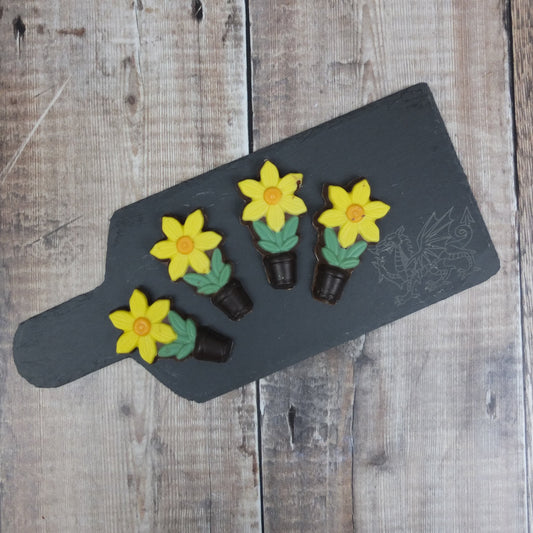 Chocolate Daffodils