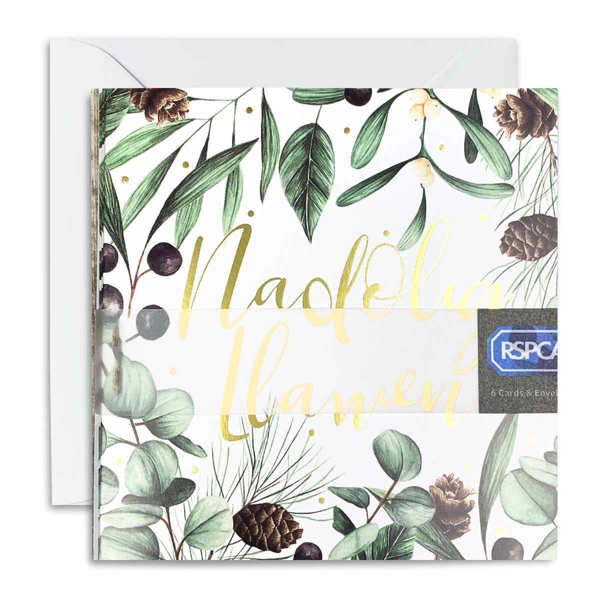 Winter Foliage 6 Pack of Charity Cards
