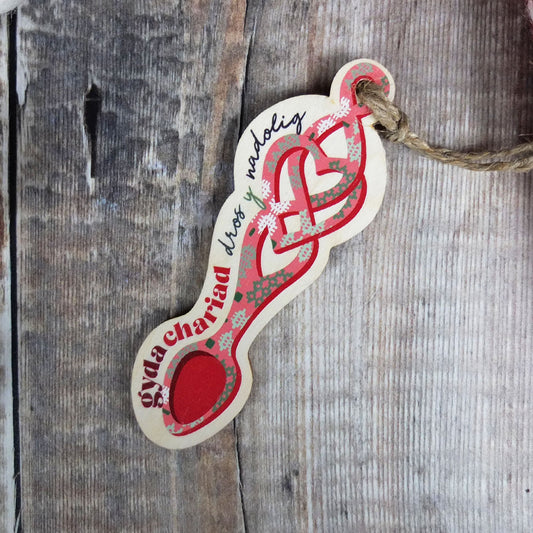 Red Cariad Love Spoon Decoration