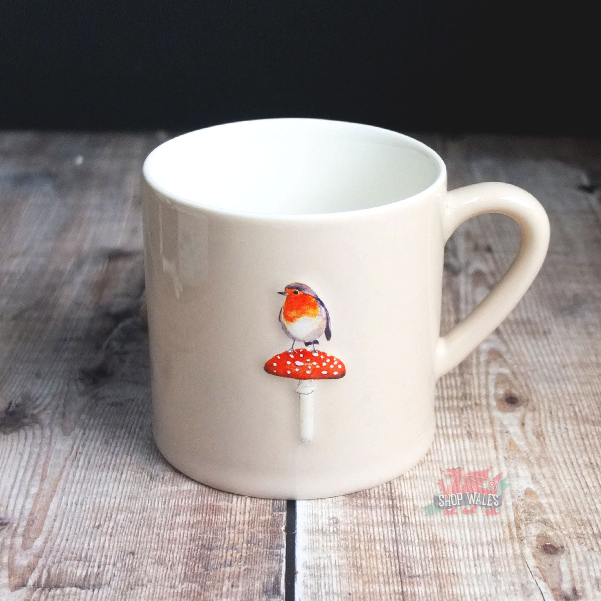 Robin on a Mushroom Mug