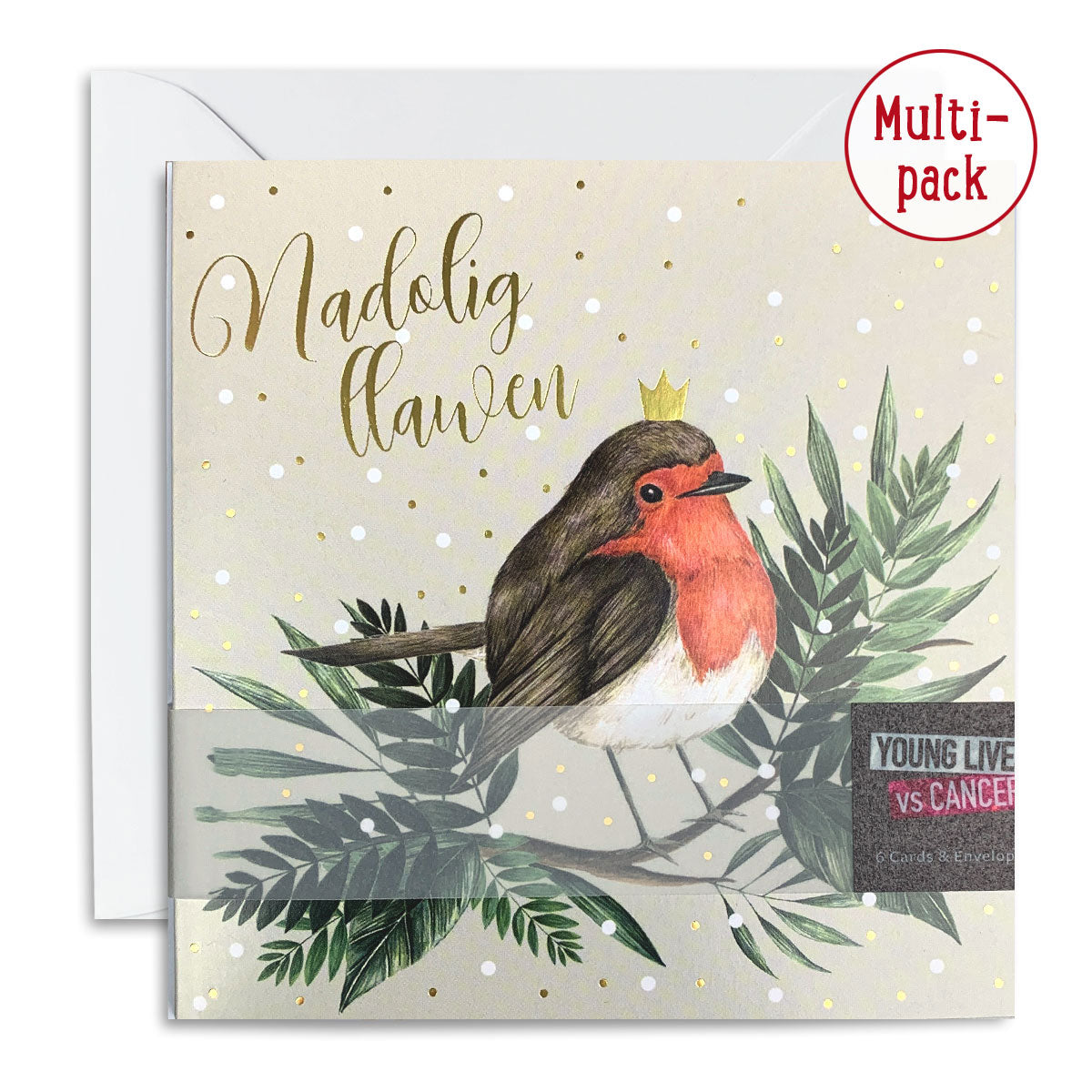 Christmas Robin Christmas Card Pack