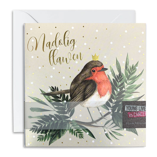 Christmas Robin Christmas Card Pack