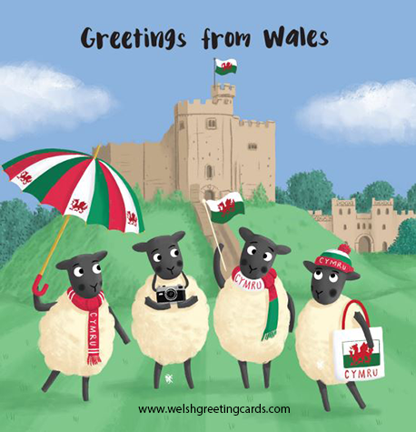 Sheep and Castle Card