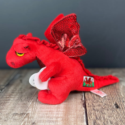 Regular Welsh Dragon by TY