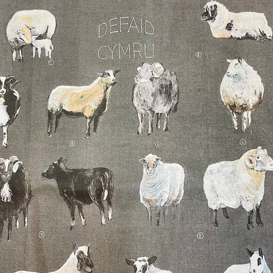 Welsh Sheep Tea towel