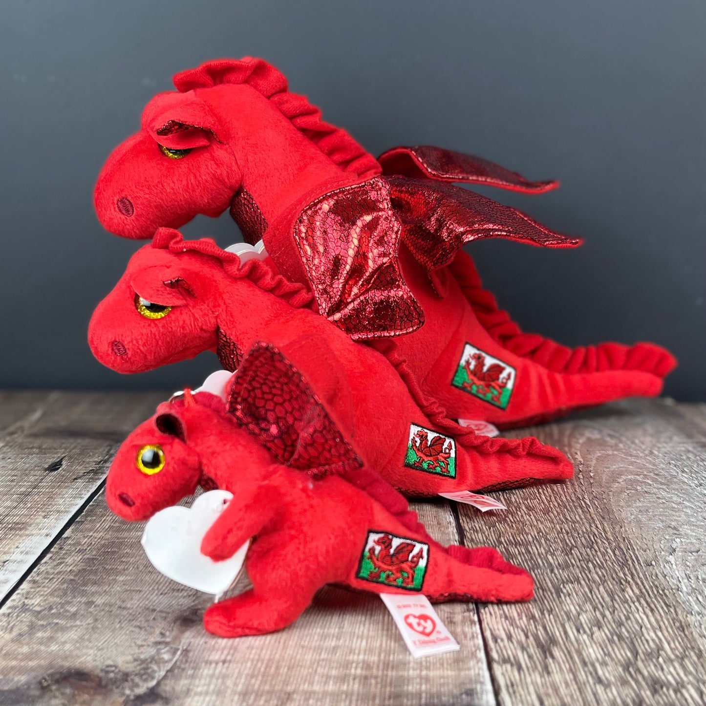 Regular Welsh Dragon by TY