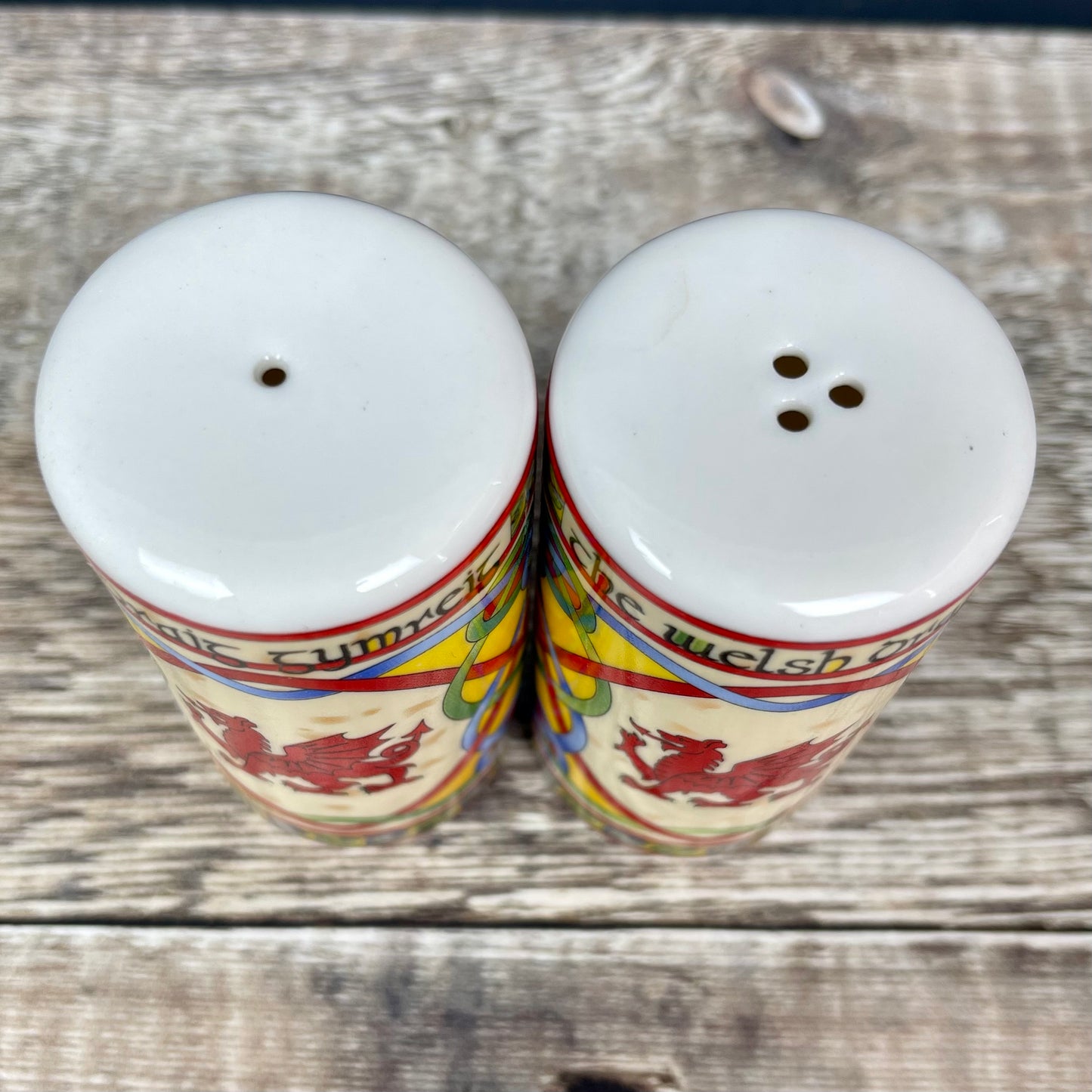 Dragon Salt and Pepper Shakers