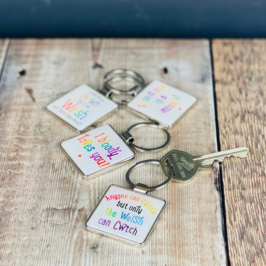 Anyone can Cuddle Keyring