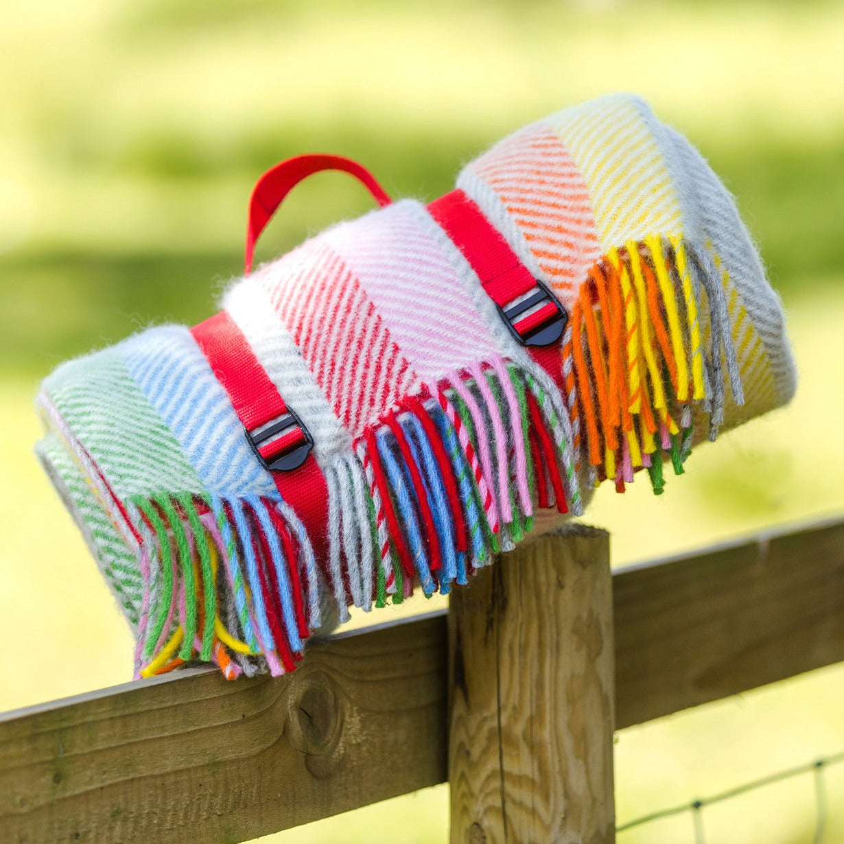 Rainbow Welsh Picnic Rug by Tweedmill