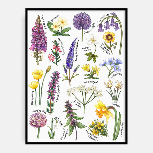 Welsh Wildflower Welsh Art Print